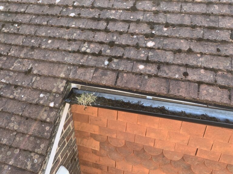 Cleaned Roof