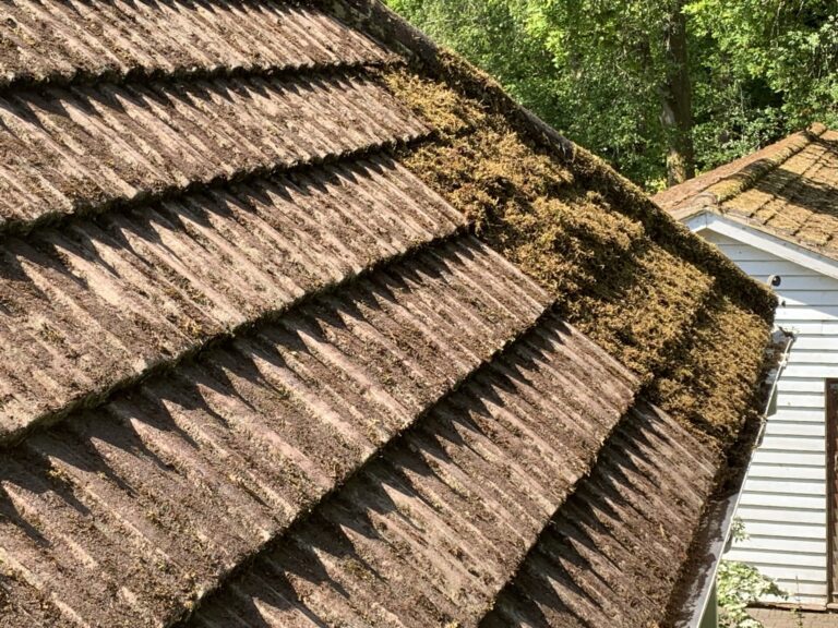 Moss Removal Company