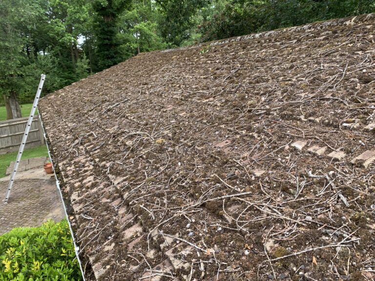 Remove Moss From Roof