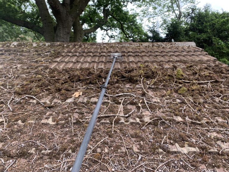 Roof Cleaners