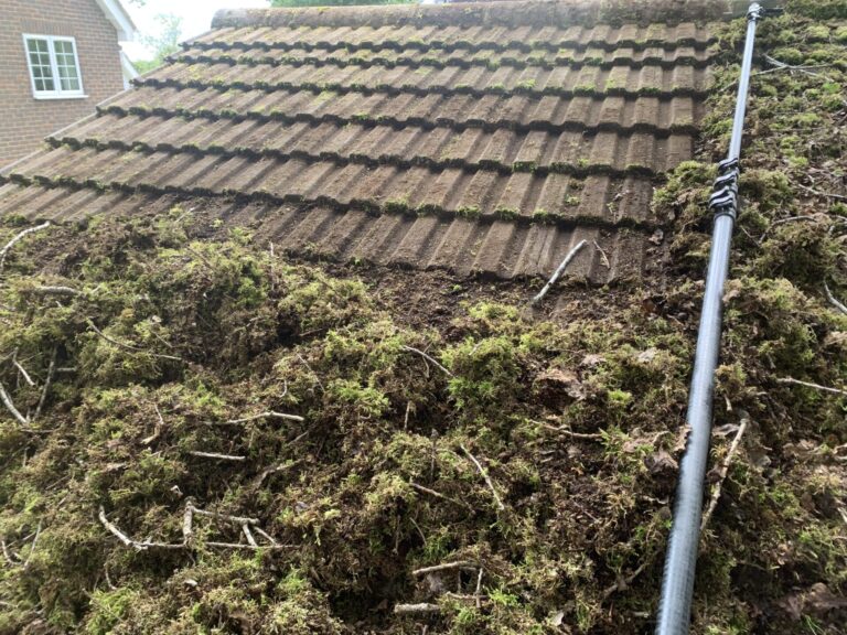 Roof Cleaning