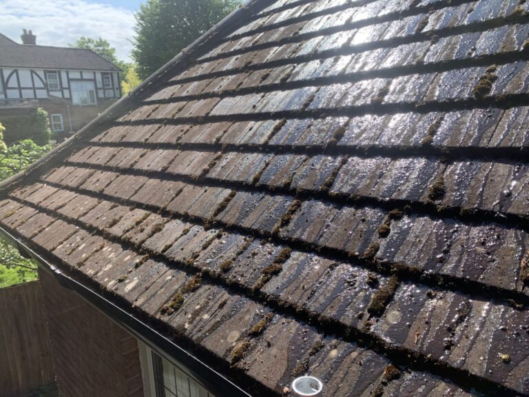 Roof Moss Removal